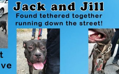 URGENT: Jack and Jill need you!