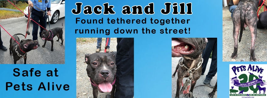 URGENT: Jack and Jill need you!