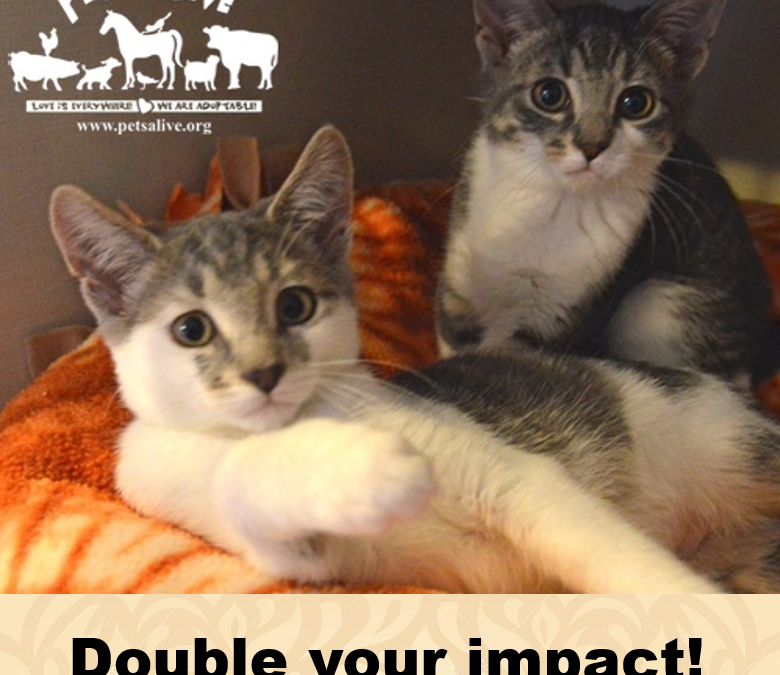 BREAKING!  Double your impact with our matching gift opportunity