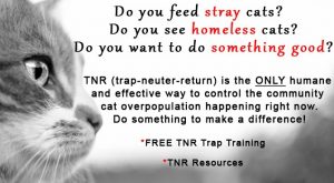 Free Public TNR Training and Discussion @ Town of Wallkill Government Center Building A