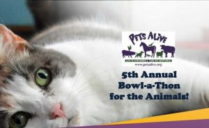 5th Annual Bowl-a-Thon for the Animals @ pin Quinnz Pinz