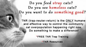 TNR Trap Training @ Town of Wallkill Government Center