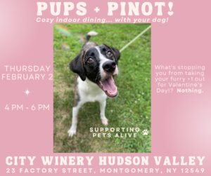 Pups & Pinot @ City Winery Hudson Valley