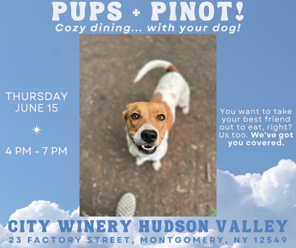 Pups + Pinot @ City Winery Hudson Valley