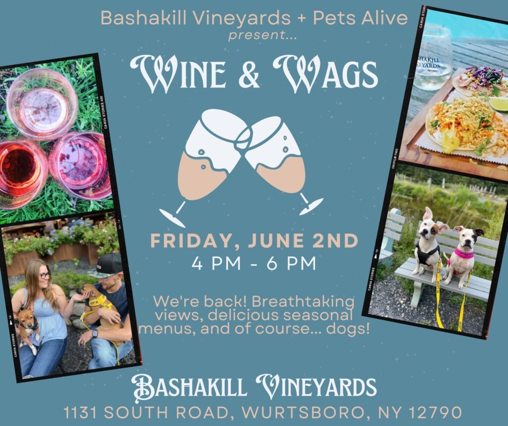 Wine + Wags @ Bashakill Vineyards