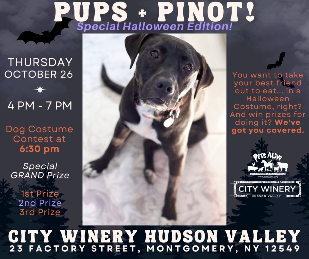 Pups + Pinot at City Winery: Halloween Edition! @ City Winery Hudson Valley
