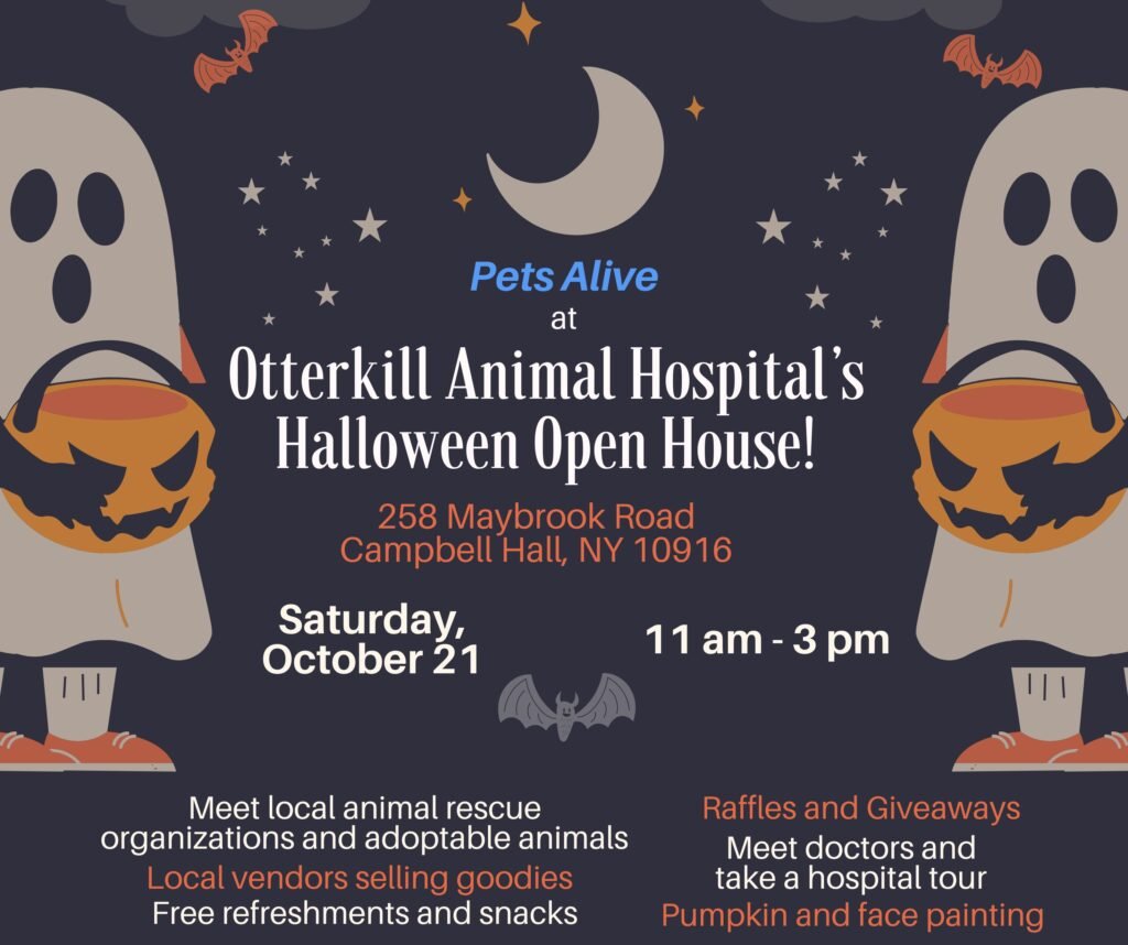 Otterkill Animal Hospital's Open House @ Otterkill Animal Hospital