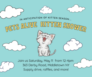13th Annual Pets Alive Kitten Shower @ Pets Alive