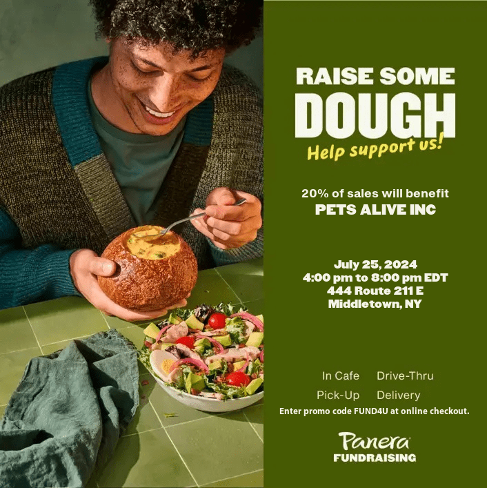 🎉 Raise Some Dough for Pets Alive! 🐾 @ Panera Bread