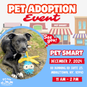 Pet Adoption Event @ PetSmart