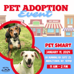 Pet Adoption Event @ PetSmart