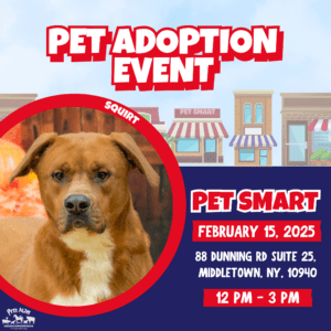 Pet Adoption Event - POSTPONED @ PetSmart