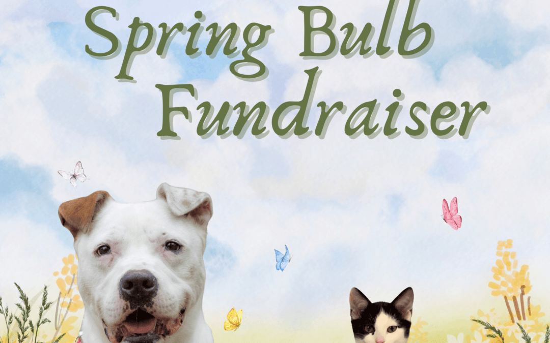 🌷 Support Pets Alive with Our Spring Bulb Fundraiser! 🌷