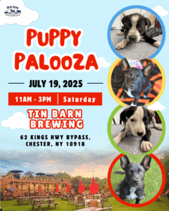 Puppy Palooza @ Tin Barn Brewing