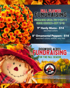 🌸 Fall Flower Fundraiser with Dogwood Acres Family Farm 🌸