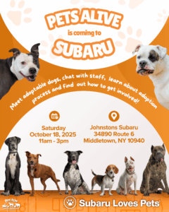 Subaru Loves Pets @ Johnstons Subaru