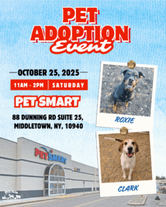 Pet Adoption Event at PetSmart @ PetSmart
