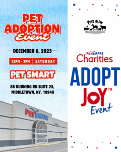 Adopt Joy Event @ PetSmart