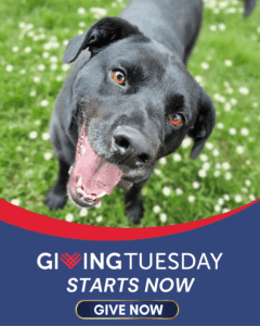 GIVING TUESDAY 2025