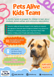 Pets Alive Kids Team @ Pets Alive