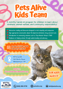 Pets Alive Kids Team! @ Pets Alive