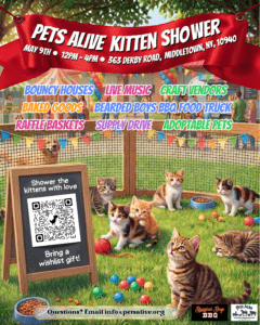 Kitten Shower 2026 @ Pets Alive