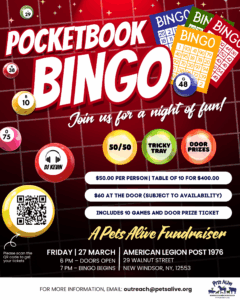 Pocketbook Bingo @ American Legion Post 1976