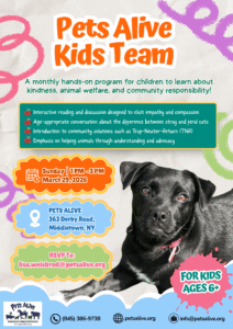 Pets Alive Kids Team @ Pets Alive