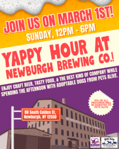 Yappy Hour at Newburgh Brewing Co.! @ Newburgh Brewing Co.