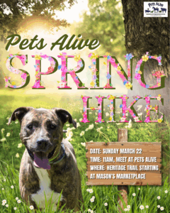 Take a Hike With A Pets Alive Dog @ Meeting Place - Pets Alive
