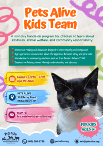 Pets Alive Kids Team @ Pets Alive