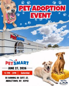 Pet Adoption Event at PetSmart @ PetSmart
