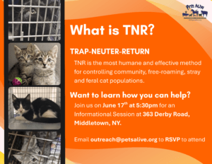 TNR Informational Session @ Pets Alive