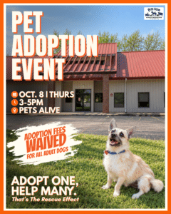 Pet Adoption Event @ Pets Alive